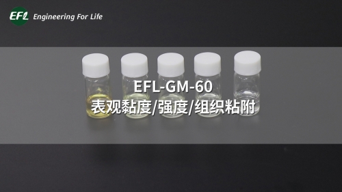EFL-GM-60 不同濃度下的表觀黏度、強(qiáng)度、組織粘附性能