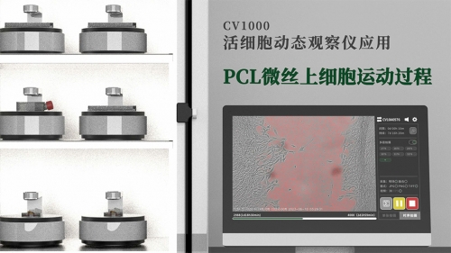 PCL微絲上細(xì)胞運動過程