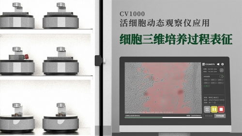 細(xì)胞三位培養(yǎng)過程表征