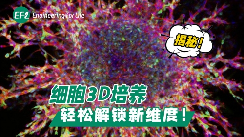 揭秘！細(xì)胞3D培養(yǎng)，輕松解鎖新維度！