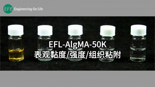 EFL-AlgMA-50K表觀黏度、強(qiáng)度、組織粘附性能展示