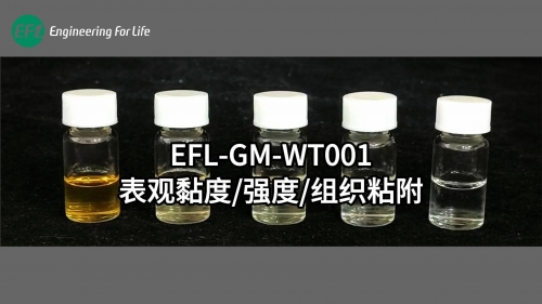 EFL-GM-WT001表觀黏度、強(qiáng)度、組織粘附性能展示