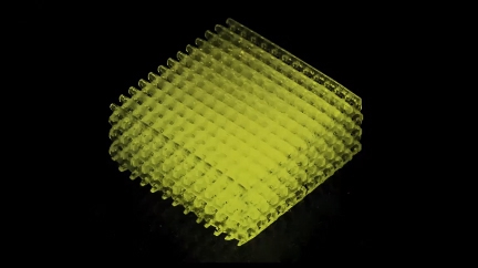 EFL青年論壇：生物3D打印制造技術(shù)