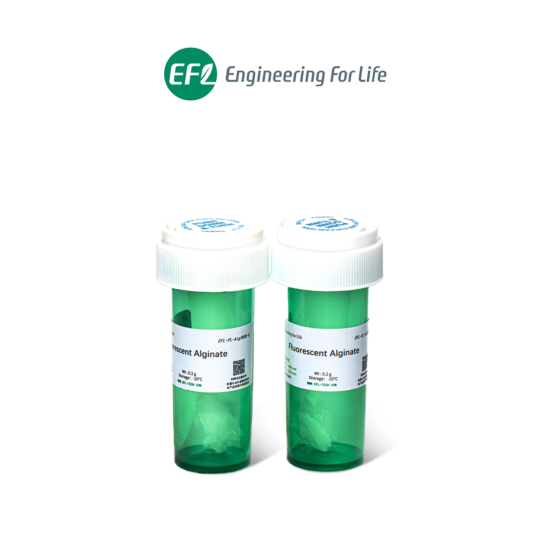 熒光標記海藻酸鈉；Fluorescent Alginate；
