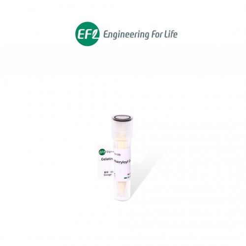 甲基丙烯酰化明膠交聯(lián)微球Gelatin Methacryloyl Crosslinked Microsphere；GelMA交聯(lián)微球；EFL-MS-C-GM系列