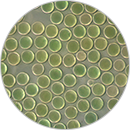 5-應用-3批量制造-130X130.png