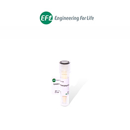 Gelatin Methacryloyl Crosslinked Microsphere