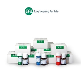 Fluorescent Gelatin Methacryloyl（Fluorescent GelMA）
